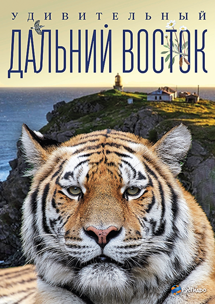 Дом детской книги.png